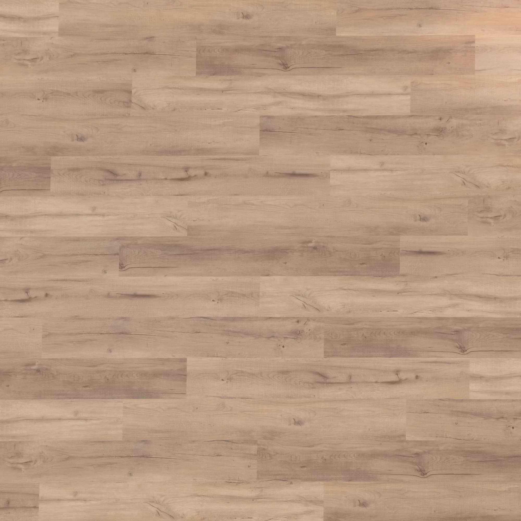 Balboa Trails GlueDown Vinyl 2