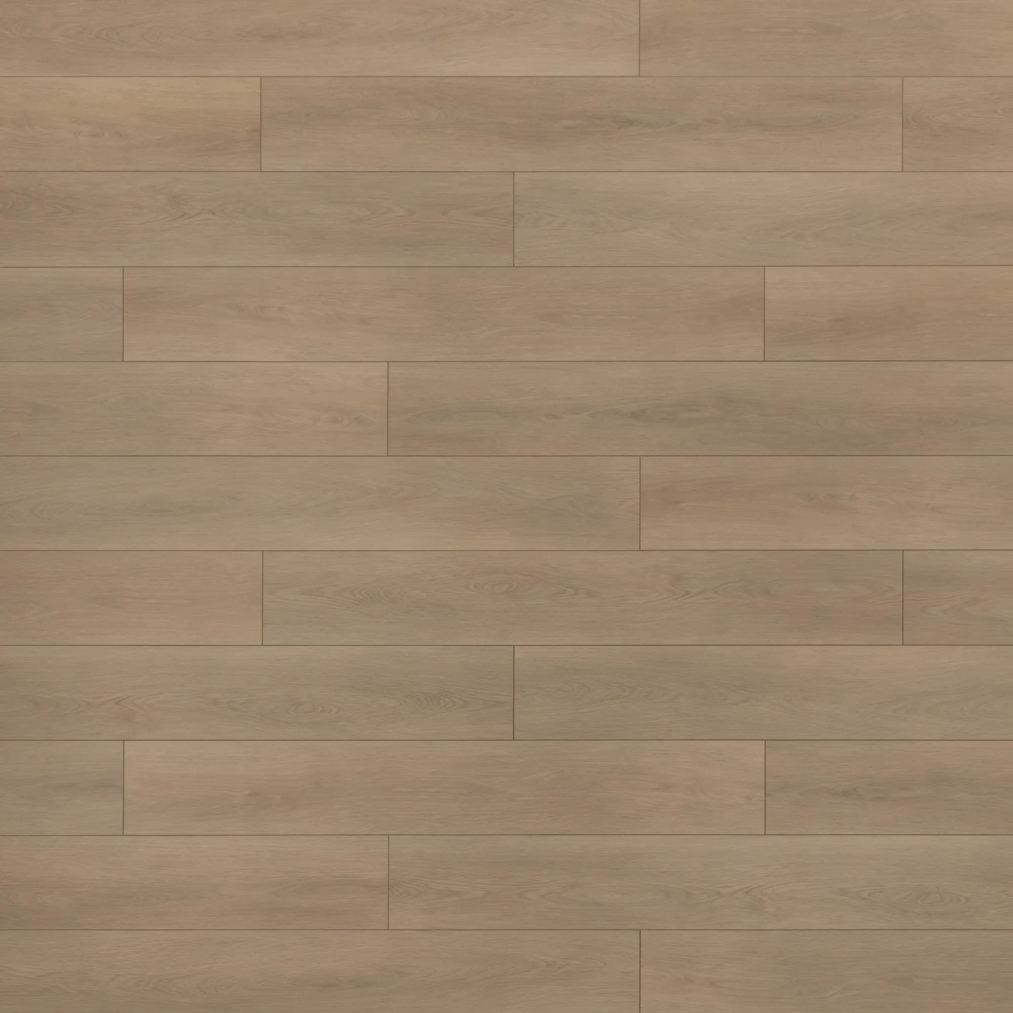 Joshua Tree Floating Vinyl 2