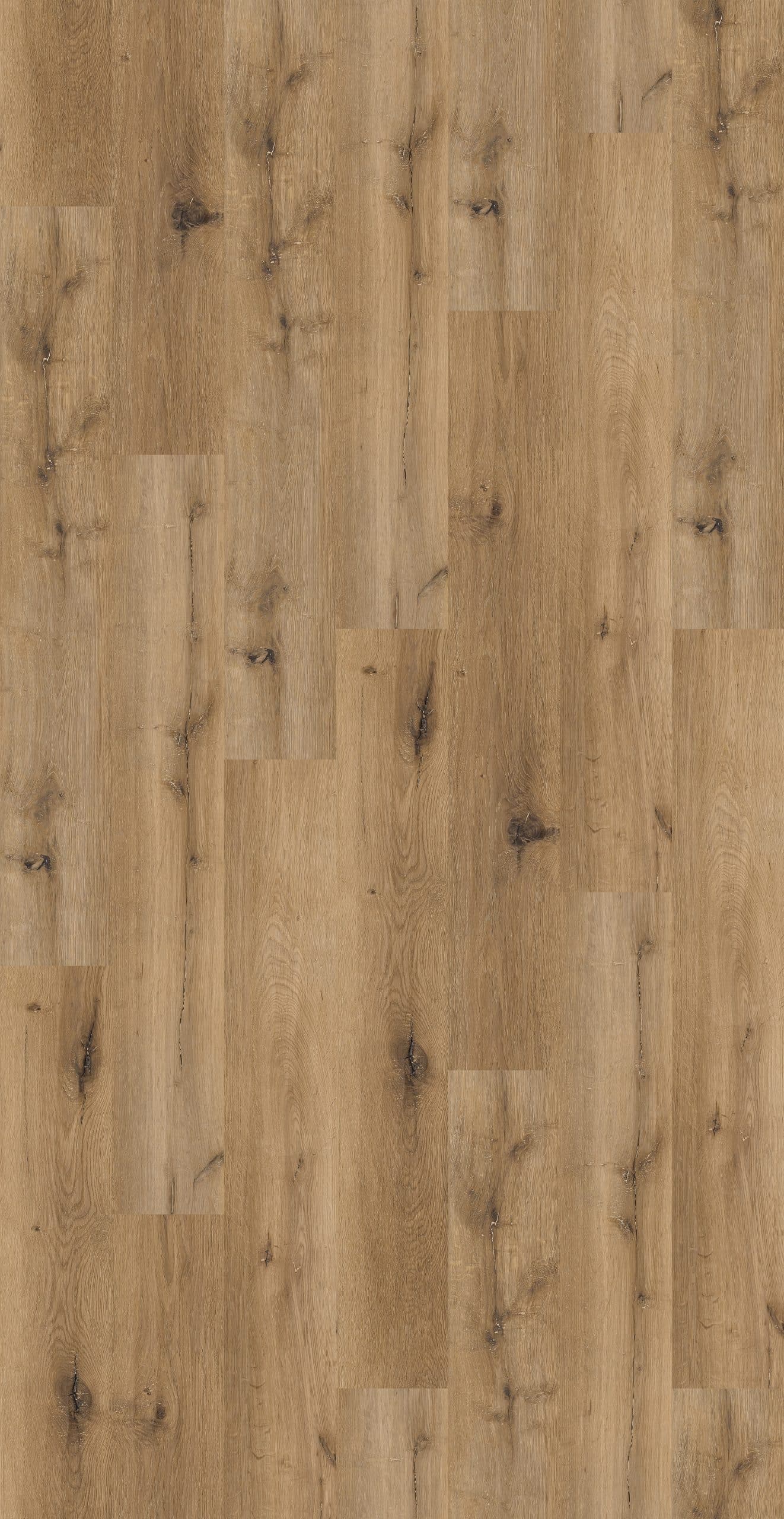 Moccasin Creek Glue Down Flooring 2