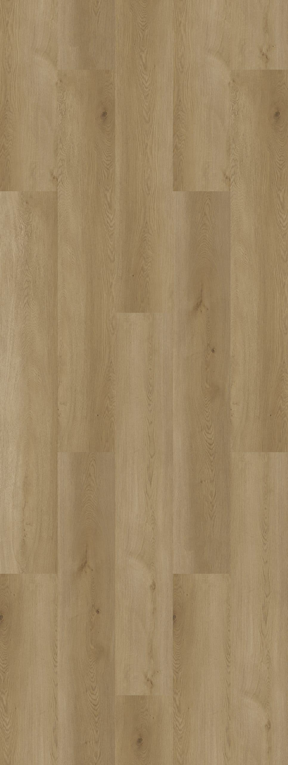 Prestige Oak Premium Rigid Core Flooring installed overview - HomeLike looselay floating rigid core SPC LVT vinyl plank flooring | 254 Floors Waco TX wholesale