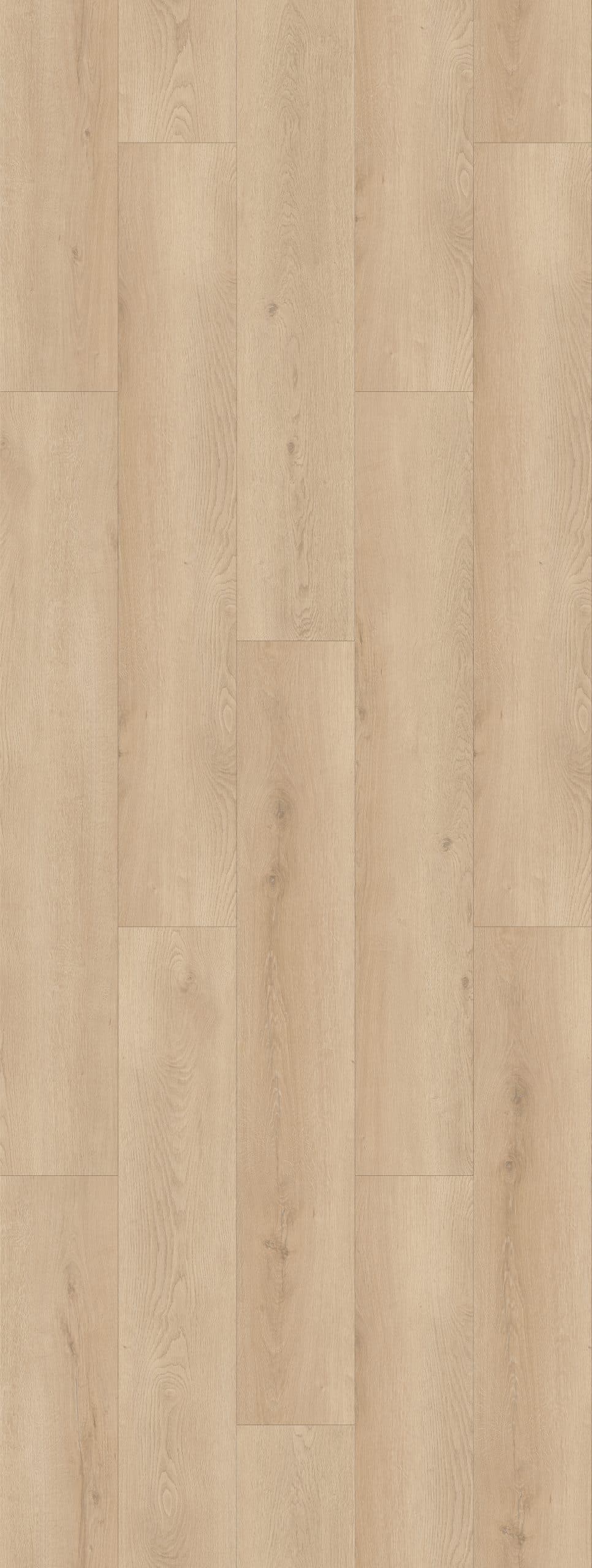 Reina Oak Premium Rigid Core Flooring installed overview - HomeLike looselay floating rigid core SPC LVT vinyl plank flooring | 254 Floors Waco TX wholesale