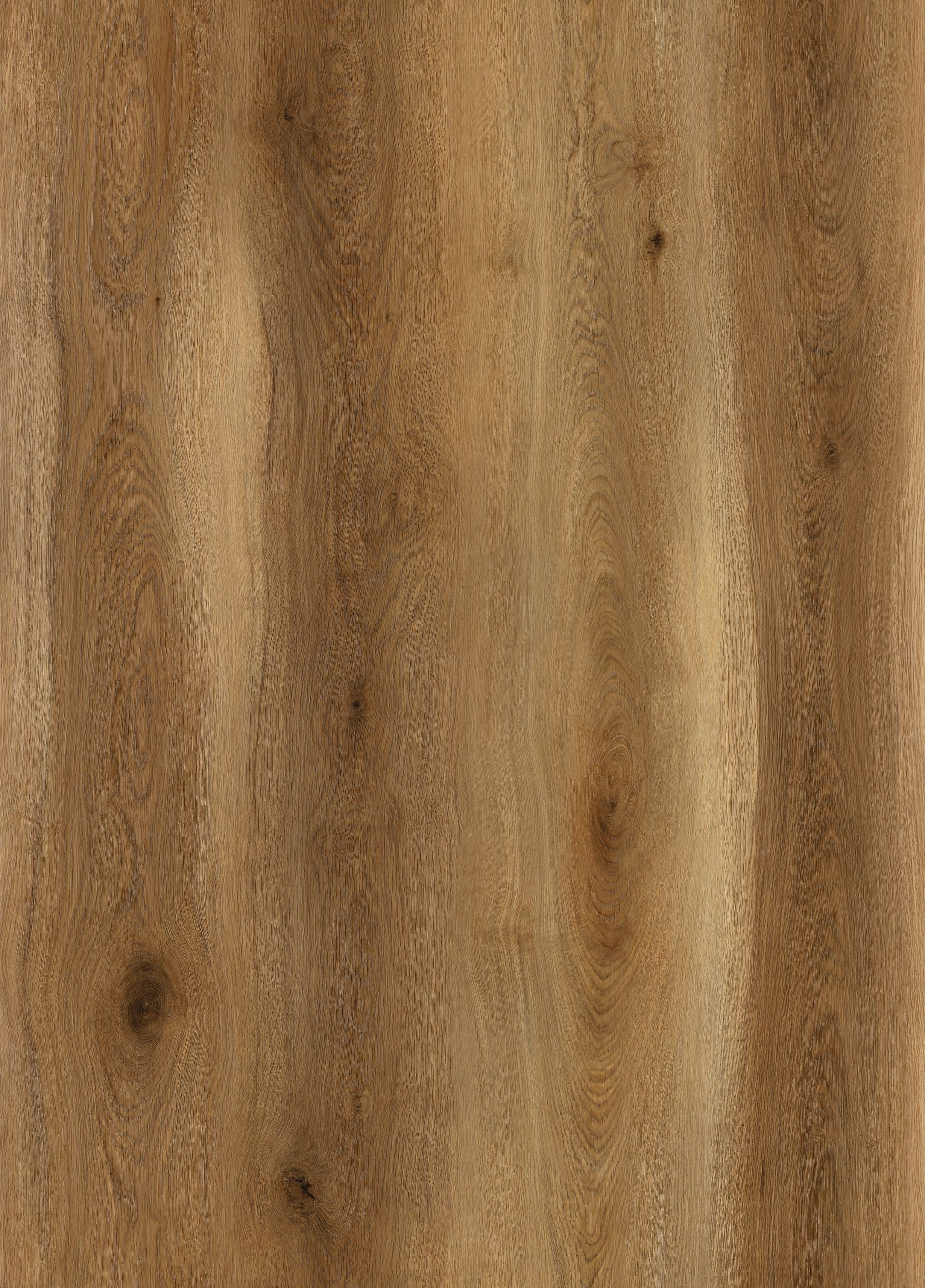 Saratoga Rigid Core Pro Wood Grain Flooring 4