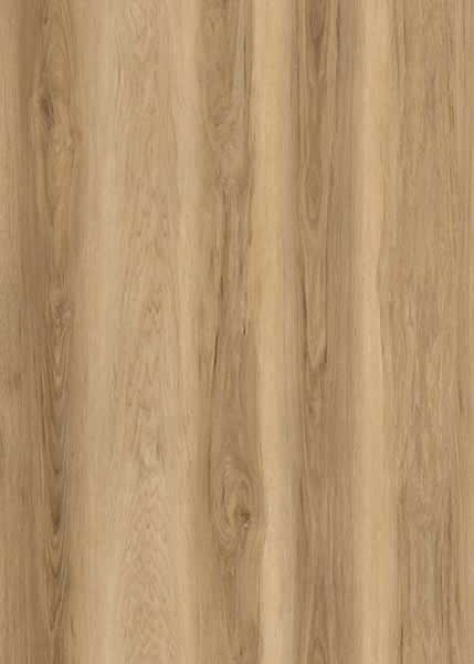 Carolina Hickory — American Series Rigid Core, 5mm 20mil, made in the USA